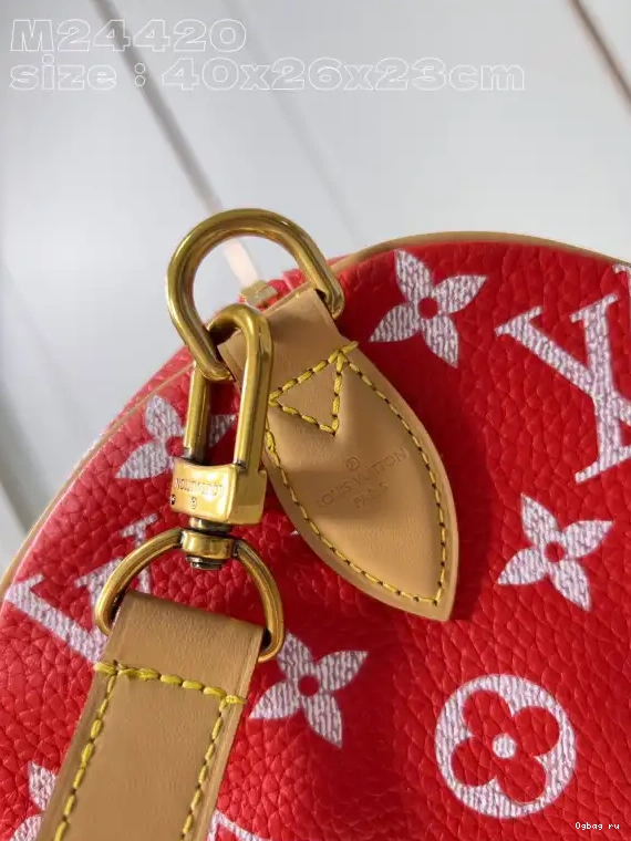 SPEEDY 40 Louis Vuitton 0610